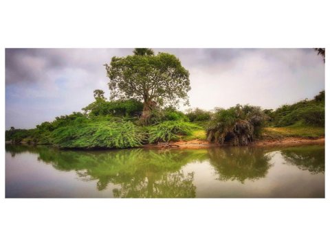 கரிமணல் பயணம் - 2019. ஆதி ஸ்ரீ ஜடராயர் தரிசித்தல்