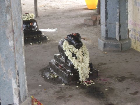 ஆண்டுவிழா - 2008