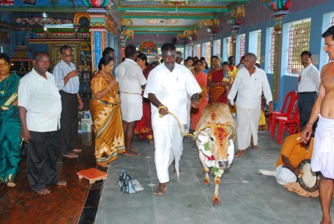 கும்பாபிஷேகம் - 2011 - முதல் நாள் நிகழச்சிகள் (கணபதி வேள்வி, கோபூஜை, தனபூஜை, முதல் கால பூஜை . . .)