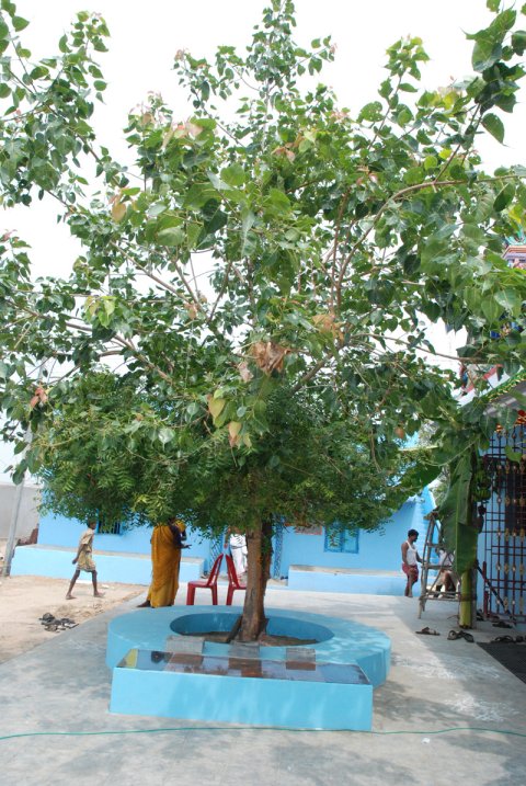 கும்பாபிஷேகம் - 2011 - முதல் நாள் நிகழச்சிகள் (கணபதி வேள்வி, கோபூஜை, தனபூஜை, முதல் கால பூஜை . . .)